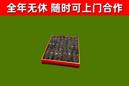 汕尾回收海参